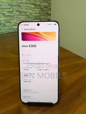 Vivo X300 12GB 256GB (Used)