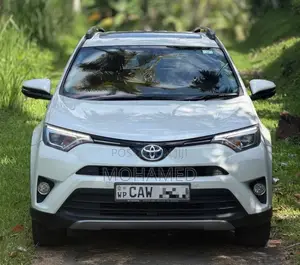 Toyota Rav4 Hybrid 2017 SUV (Used)
