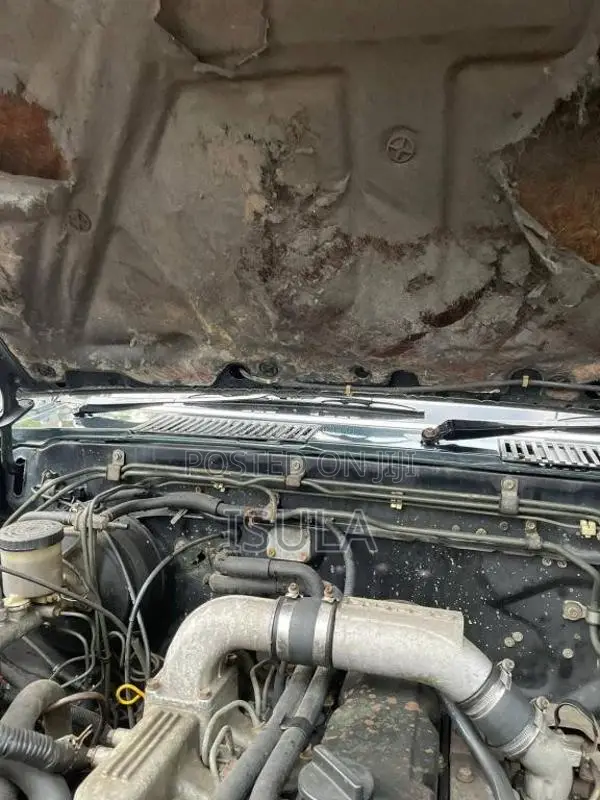 Nissan Datsun 1987 Pickup (Used)
