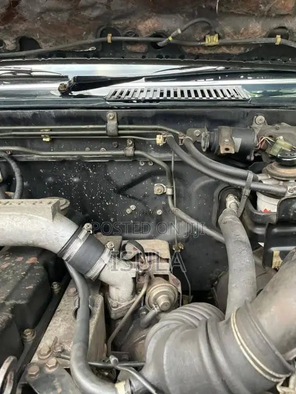 Nissan Datsun 1987 Pickup (Used)