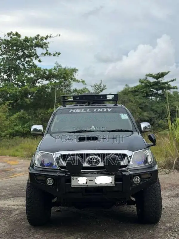 Toyota Hilux Vigo 2012 Pickup (Used)