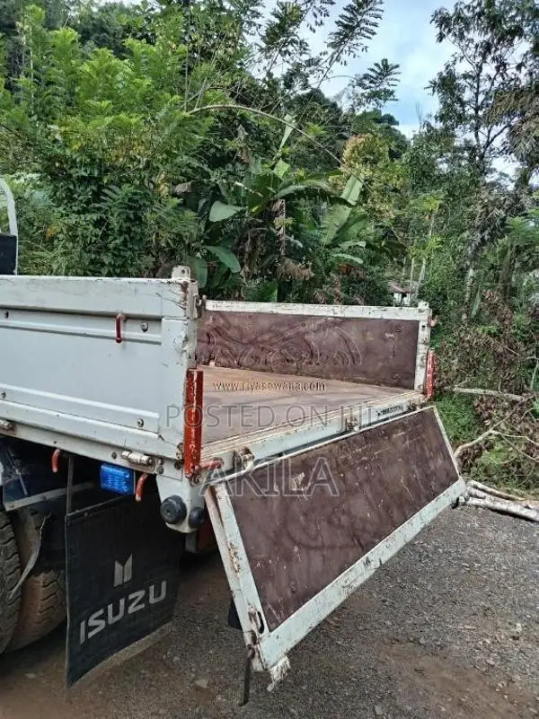 Isuzu 250 2026 Lorry (Used)