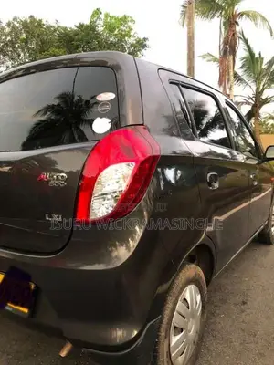 Suzuki Alto 2015 Car (Used)