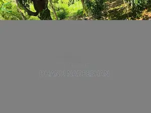 Bajaj Pulsar 2016 Motorbike (Used)