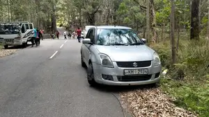 Suzuki Swift 2008 Car (Used)