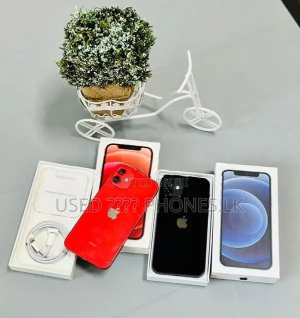 Apple iPhone 12 128GB (Used)
