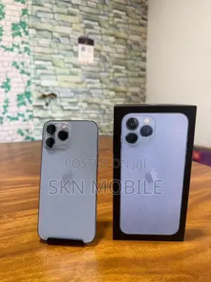 Apple iPhone 13 Pro Max 256GB (Used)