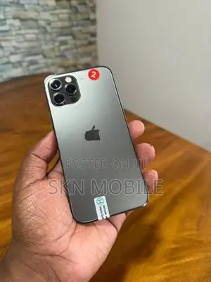 Apple iPhone 12 Pro 256GB (Used)