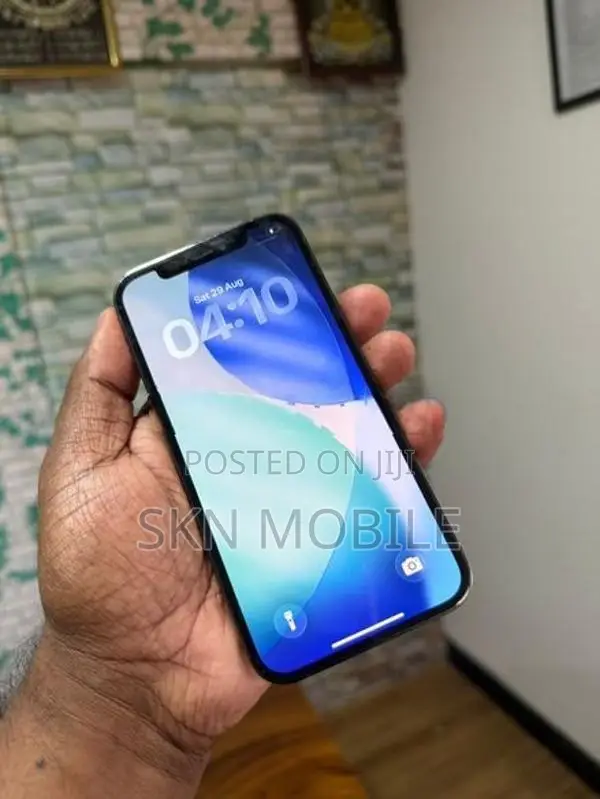 Apple iPhone 12 Pro 256GB (Used)