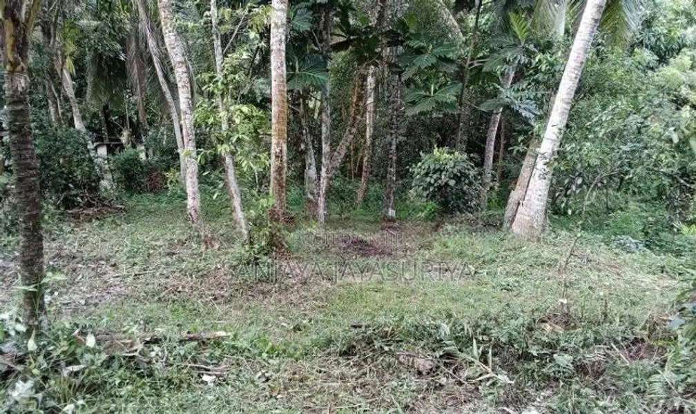 Land For Sale In Karapitiya, Galle