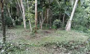 Land For Sale In Karapitiya, Galle