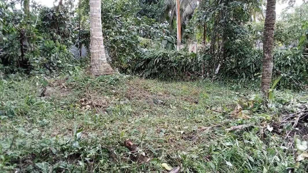 Land For Sale In Karapitiya, Galle