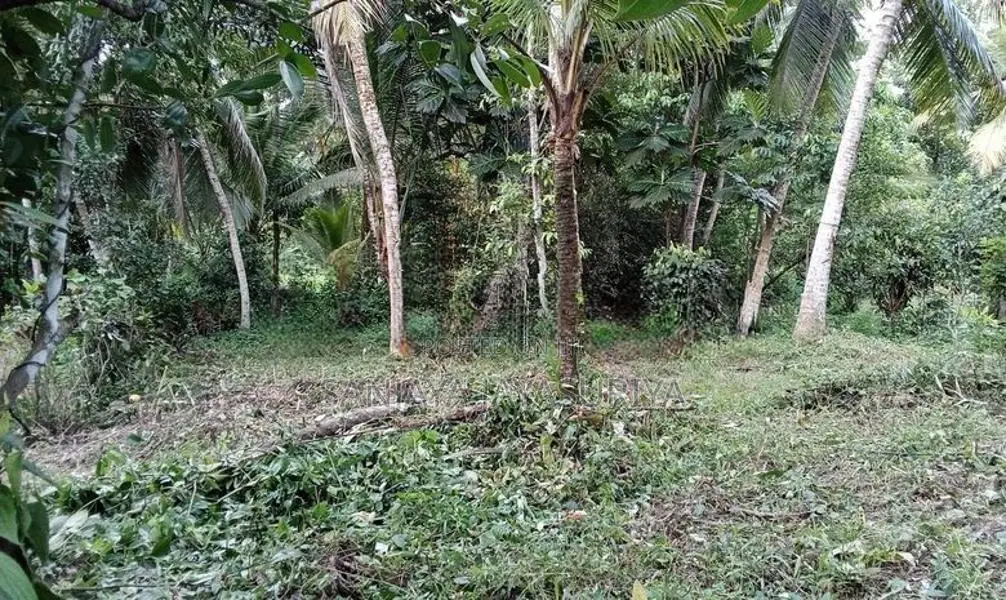 Land For Sale In Karapitiya, Galle