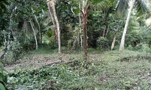 Land For Sale In Karapitiya, Galle