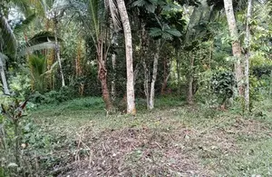 Land For Sale In Karapitiya, Galle