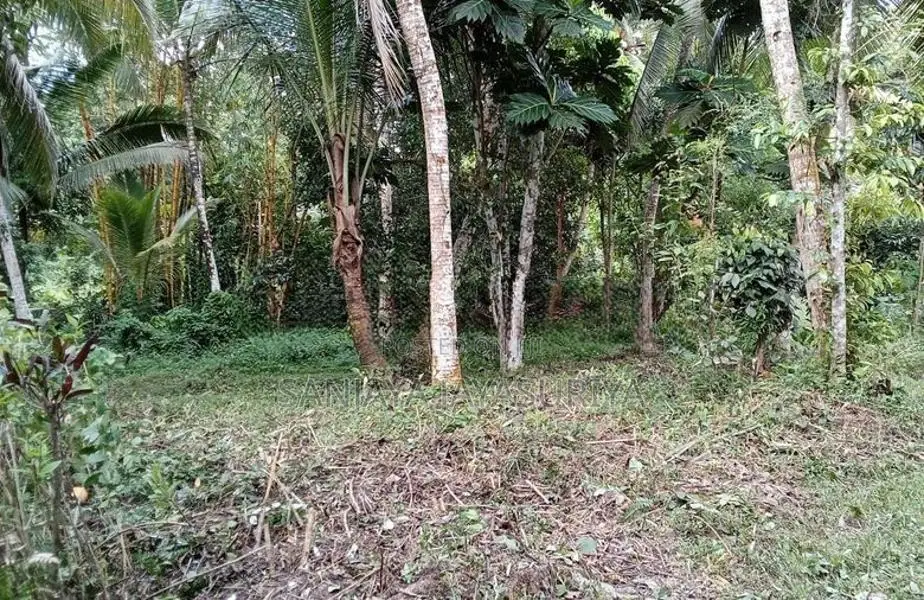 Land For Sale In Karapitiya, Galle