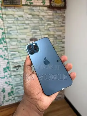 Apple iPhone 12 Pro Max 256GB (Used)