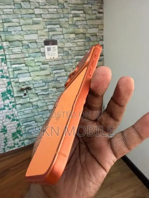 Apple iPhone 17 Pro Max 256GB Icloud lock (Used)