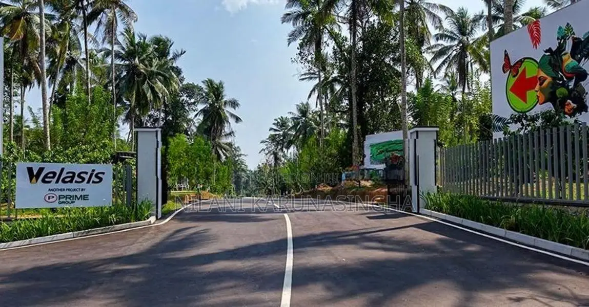 Land for Sale in Homagama