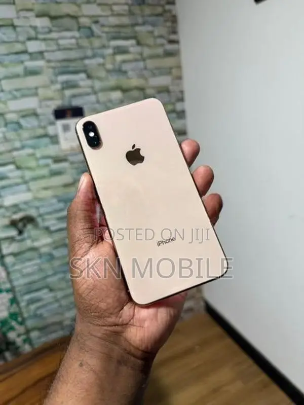 Apple iPhone XS Max 256GB (Used)