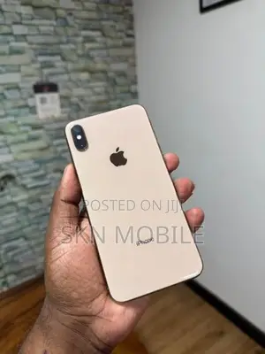 Apple iPhone XS Max 256GB (Used)