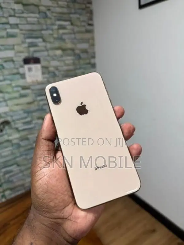 Apple iPhone XS Max 256GB (Used)