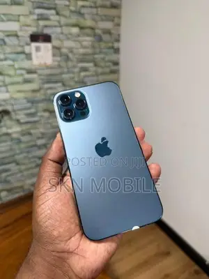 Apple iPhone 12 Pro Max 256GB (Used)