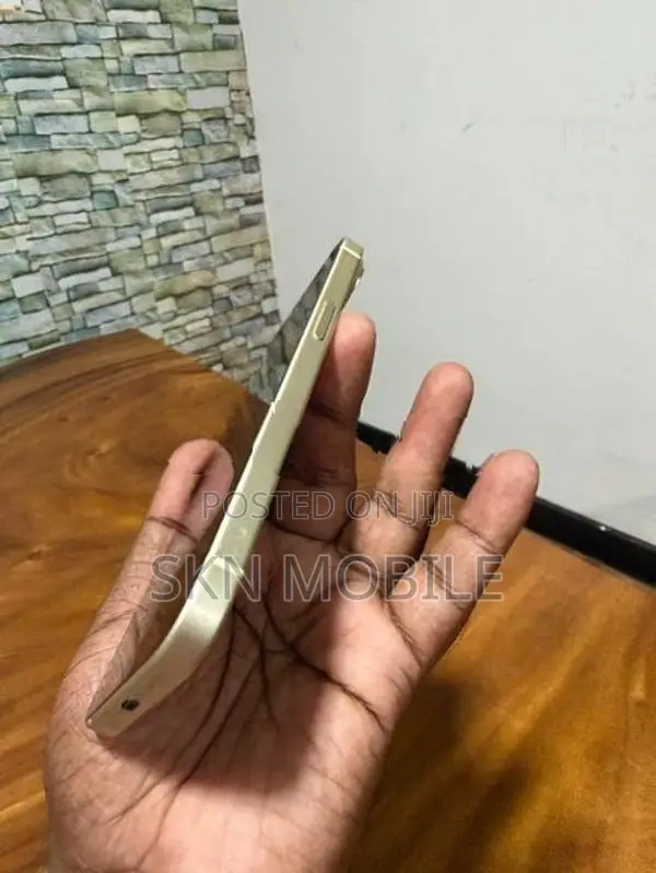 Apple iPhone 15 128GB (Used)