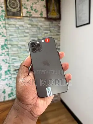 Apple iPhone 12 Pro 256GB (Used)