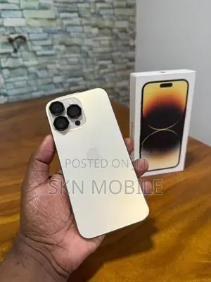 Apple iPhone 14 Pro Max 256GB (Used)