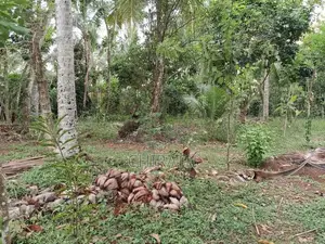 1 Acre Commercial Land With House For Sale In Kirindiwela