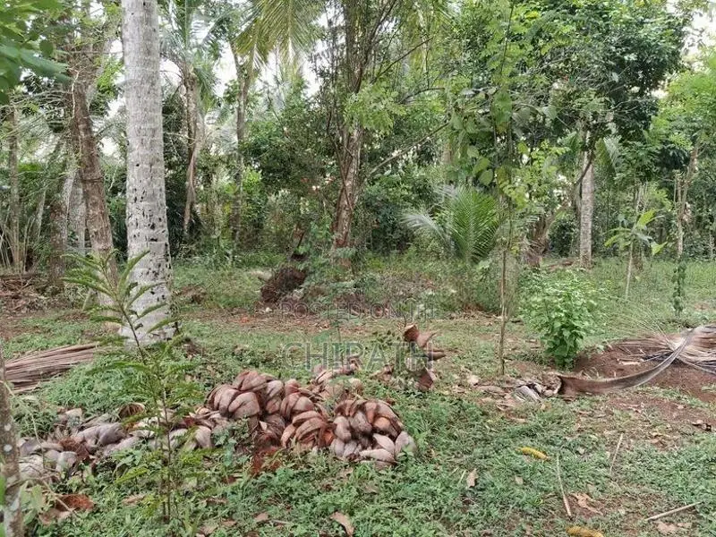 1 Acre Commercial Land With House For Sale In Kirindiwela