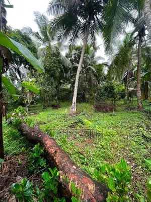 1 Acre Commercial Land With House For Sale In Kirindiwela