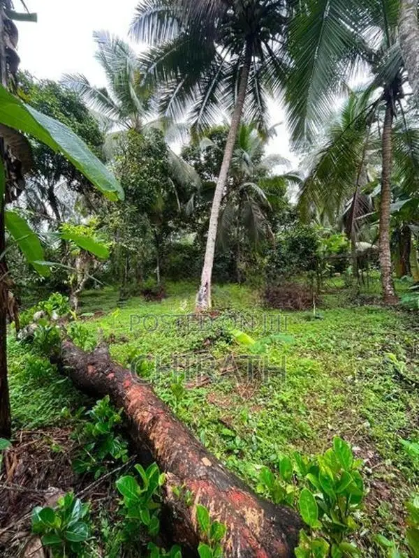 1 Acre Commercial Land With House For Sale In Kirindiwela