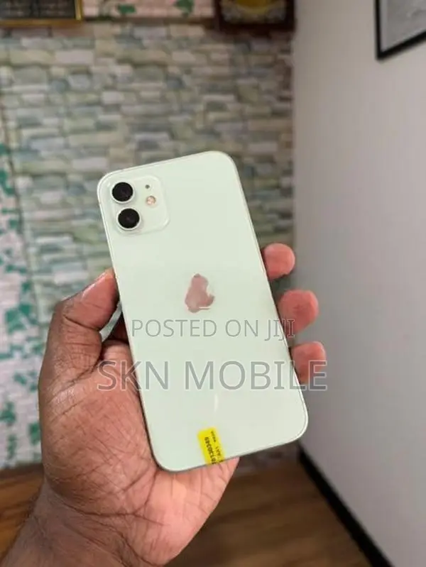 Apple iPhone 12 256GB (Used)