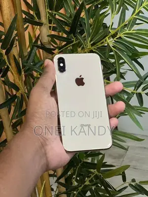 Apple iPhone XS (Used)