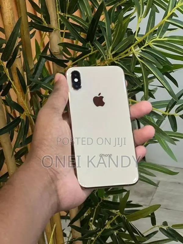 Apple iPhone XS (Used)