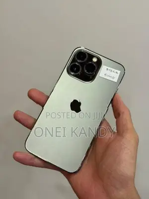 Apple iPhone 13 Pro 256GB (Used)
