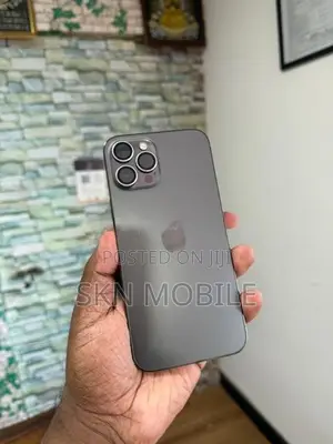Apple iPhone 12 Pro Max 128GB (Used)