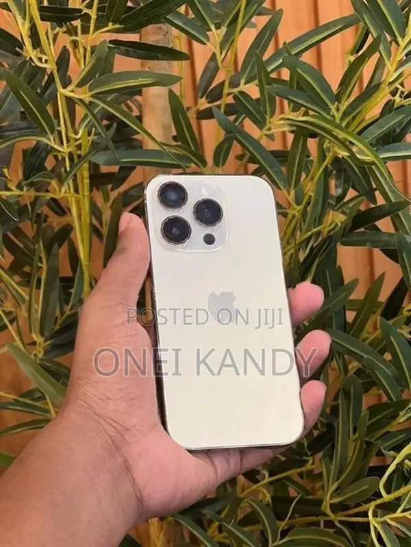 Apple iPhone 14 Pro (Used)
