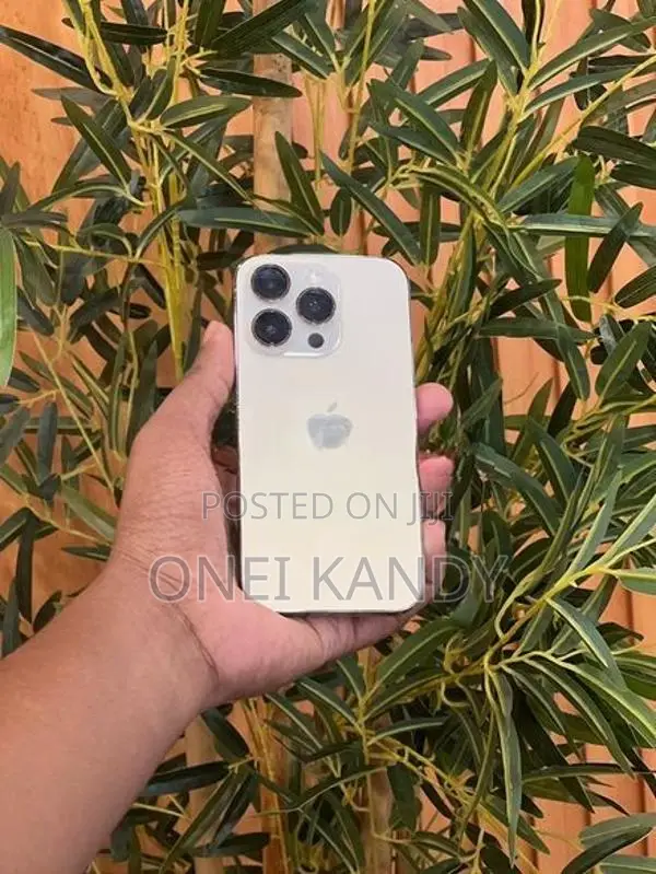 Apple iPhone 14 Pro (Used)