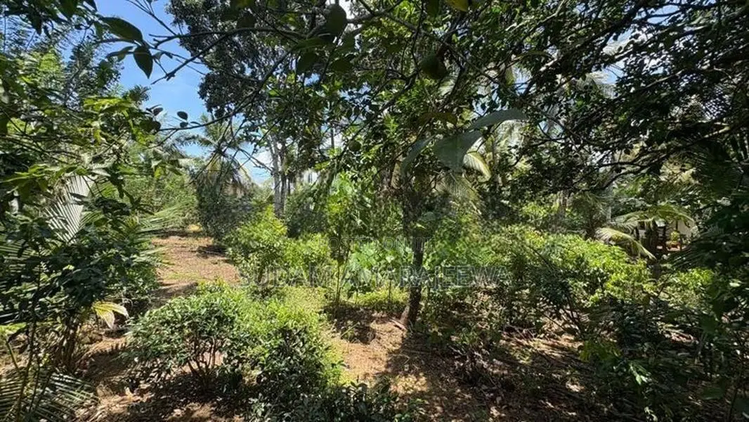 100 Perches Land For Sale In Galle