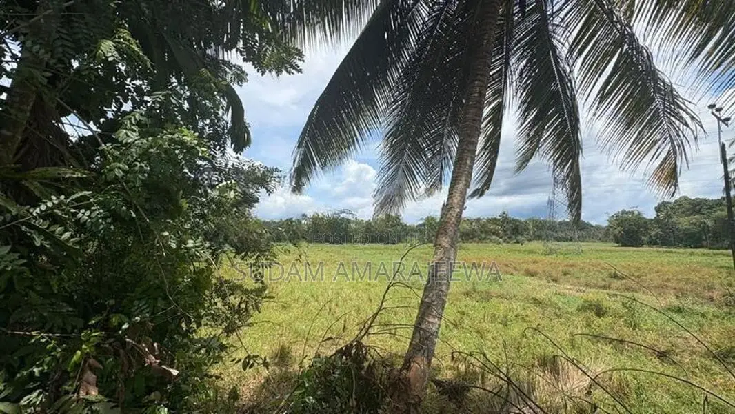100 Perches Land For Sale In Galle