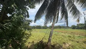 100 Perches Land For Sale In Galle