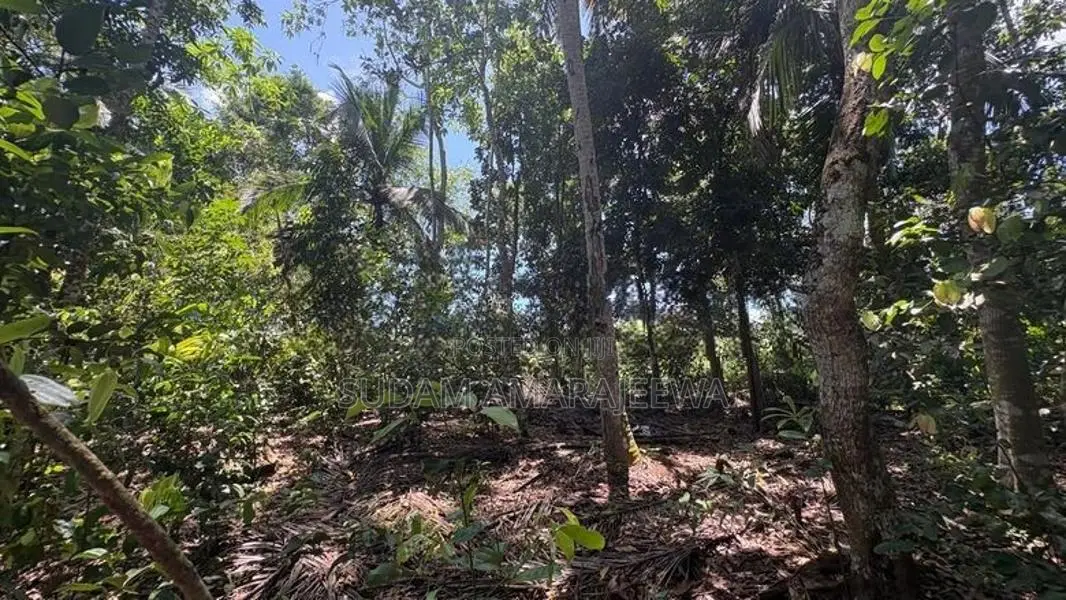 100 Perches Land For Sale In Galle