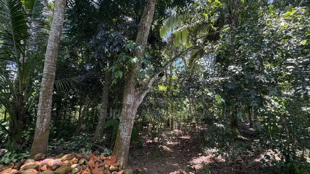 100 Perches Land For Sale In Galle