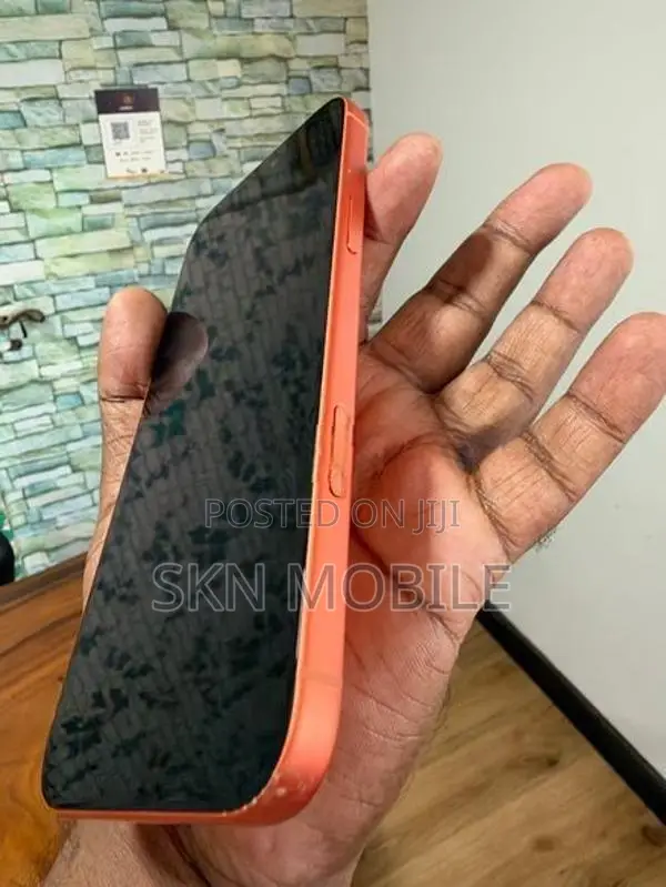 Apple iPhone 17 Pro Max 256GB ESIM iCloud 🔒 (Used)