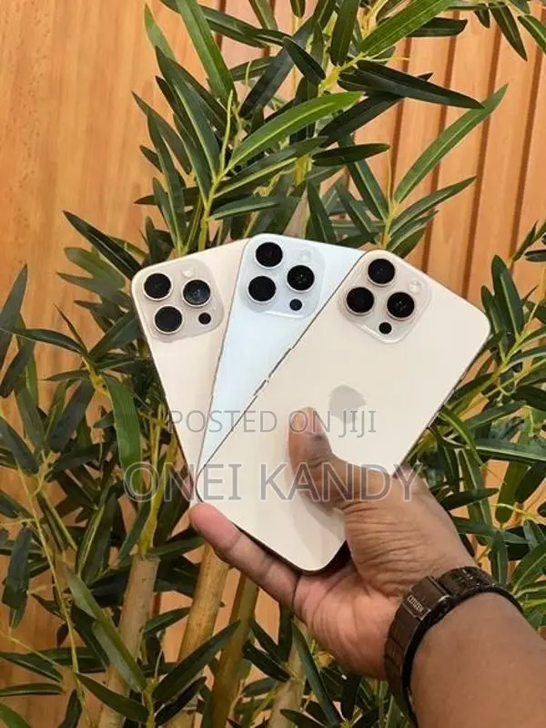 Apple iPhone 16 Pro Max (Used)