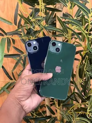 Apple iPhone 13 (Used)