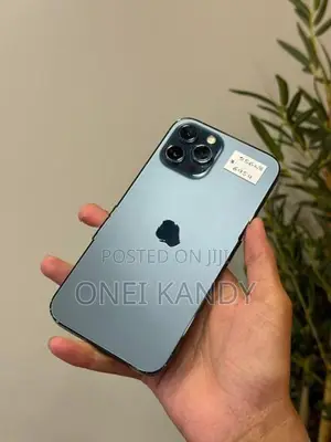 Apple iPhone 12 Pro Max 256GB (Used)